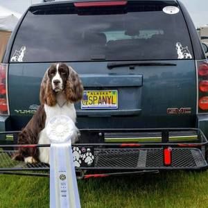 Meet your Posher, Susan